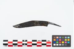 Foto von Eisengriffdornmesser (NHMW-PRAE-026164)